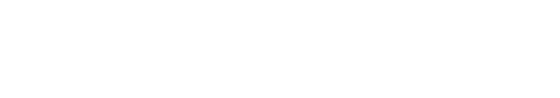 Playmaker LCD